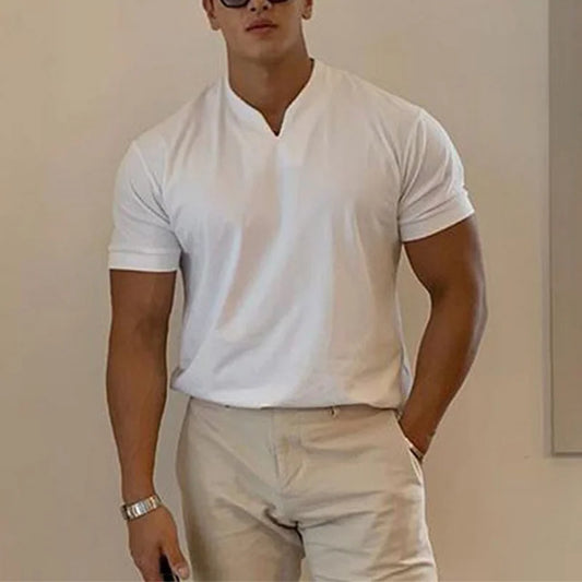 Summer Men Business Causal T-shirt Beach Fashion Thin Stand Collar Solid Tee V-neck Breathable Fitness Korean Streetwear Tops
